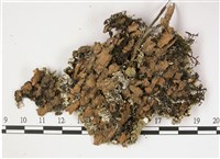 登錄號:L00002261藏品圖，第3張