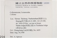 登錄號:L00002269藏品圖，第2張
