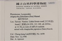 扇形雪花衣藏品圖，第2張