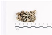 登錄號:L00002279藏品圖，第1張