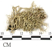 登錄號:L00002309藏品圖，第3張