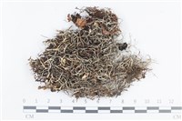 登錄號:L00002323藏品圖，第1張