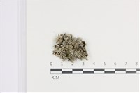 登錄號:L00002324藏品圖，第1張