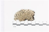 登錄號:L00002330藏品圖，第1張