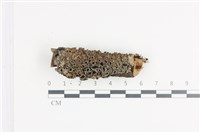 登錄號:L00002333藏品圖，第1張