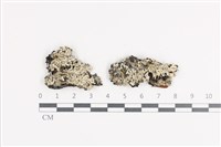 登錄號:L00002349藏品圖，第1張