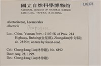 登錄號:L00002378藏品圖，第2張