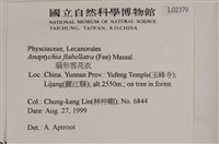 扇形雪花衣藏品圖，第2張