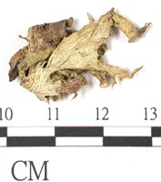 登錄號:L00002415藏品圖，第1張