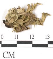 登錄號:L00002415藏品圖，第3張