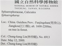 登錄號:L00002437藏品圖，第2張