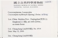 環紋瓦衣藏品圖，第2張