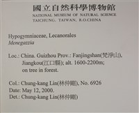 登錄號:L00002450藏品圖，第2張