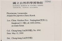 日本雪花衣藏品圖，第2張