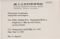 登錄號:L00002466藏品圖，第2張