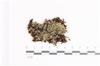 登錄號:L00002466藏品圖，第1張