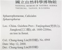 登錄號:L00002468藏品圖，第2張