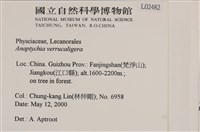 登錄號:L00002482藏品圖，第2張