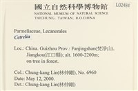 登錄號:L00002484藏品圖，第2張