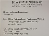 登錄號:L00002493藏品圖，第2張