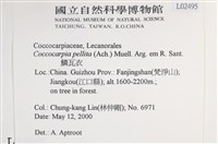 鱗瓦衣藏品圖，第2張