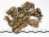 登錄號:L00002514藏品圖，第3張