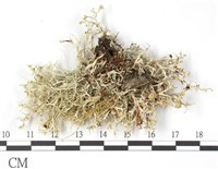 登錄號:L00002543藏品圖，第3張