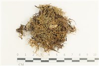 登錄號:L00002544藏品圖，第1張