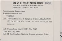 登錄號:L00002569藏品圖，第2張