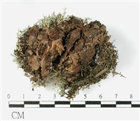 登錄號:L00002585藏品圖，第3張