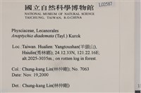 登錄號:L00002587藏品圖，第2張