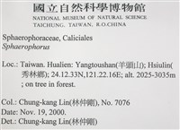 登錄號:L00002600藏品圖，第2張