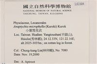 小葉雪花衣藏品圖，第2張