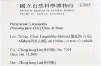 有色黑囊基衣藏品圖，第2張