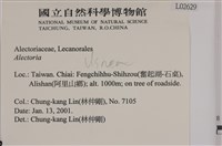 登錄號:L00002629藏品圖，第2張