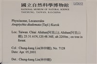 登錄號:L00002652藏品圖，第2張