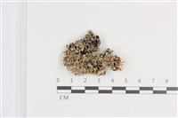 登錄號:L00002652藏品圖，第1張