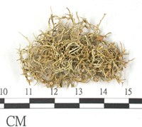 登錄號:L00002655藏品圖，第1張