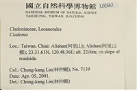 登錄號:L00002663藏品圖，第2張