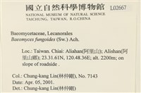 登錄號:L00002667藏品圖，第2張