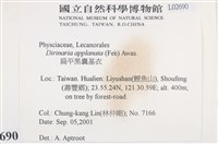 扁平黑囊基衣藏品圖，第2張