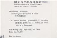 有色黑囊基衣藏品圖，第2張