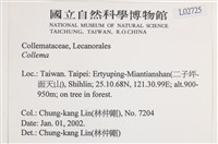 登錄號:L00002725藏品圖，第2張