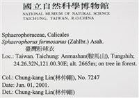 台灣球粉衣藏品圖，第2張