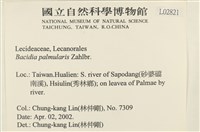 登錄號:L00002821藏品圖，第2張