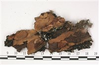 登錄號:L00002826藏品圖，第3張