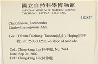 登錄號:L00002837藏品圖，第2張