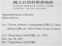 登錄號:L00002907藏品圖，第2張