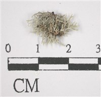 登錄號:L00002907藏品圖，第3張