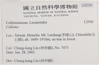 登錄號:L00002930藏品圖，第2張